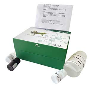  AMP含量測試盒主圖